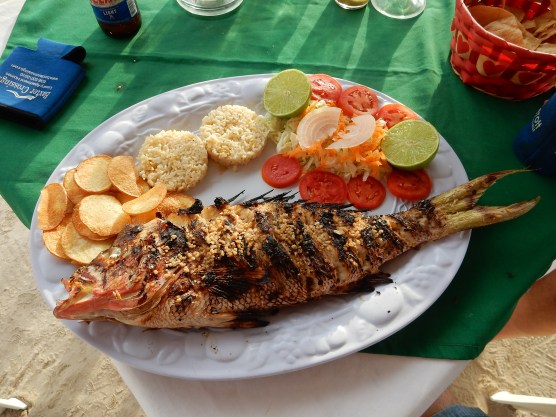 5-16-16-holbox-fish-dinner-1