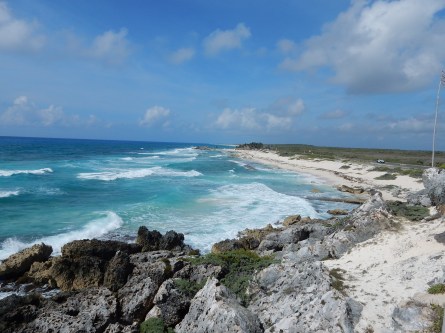 5-21-16-cozumel-coconuts-bar-3